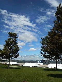 P1070005 (11).jpg